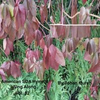 American SDA Hymnal Sing Along Vol. 02