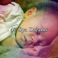 47 Spa Dreams