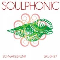 Soulphonic