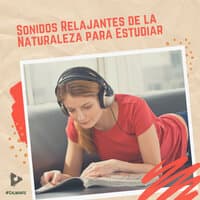 Sonidos Relajantes de la Naturaleza para Estudiar