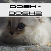 Dosh2