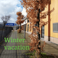 Winter Vacation