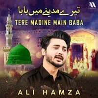 Tere Madine Main Baba - Single