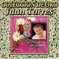 Colección De Oro: Organo Y Mariachi, Vol. 2