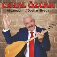 Alışamadım / Dostlar Elveda