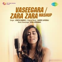 Vaseegara / Zara Zara Mashup