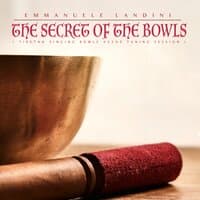 The Secret of the Bowls (Tibetan Singing Bowls 432hz Water Tuning Session)