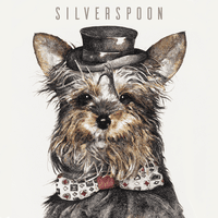 Silverspoon