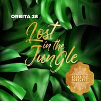 Lost In The Jungle