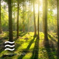 Likable Noises with Forest Ambient Soughs for Kids Sleep