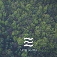 Calmful Soothing Forest sounds with Noises