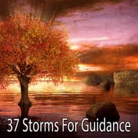 37 Storms for Guidance