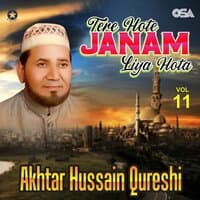 Tere Hote Janam Liya Hota, Vol. 11