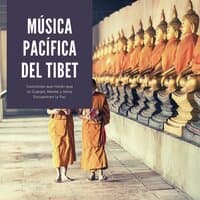 Música Pacífica del Tibet: Canciones que Harán que tu Cuerpo, Mente y Alma Encuentren la Paz