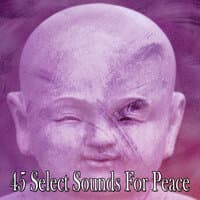 45 Select Sounds for Peace