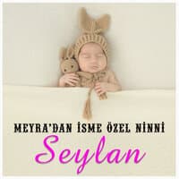 Seylan İsmine Özel Ninni