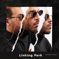 Linking Park