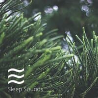 Still Nice Enjoyable Noises with Forest sounds