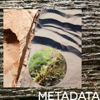 Metadata