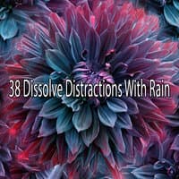 38 Dissolve Distractions with Rain