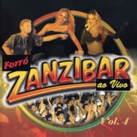 Forró Zanzibar Ao Vivo, Vol. 4