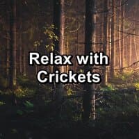 Relax with Crickets