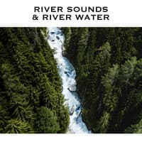 River Sounds & River Water