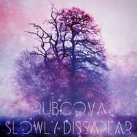 Slowly Disappear