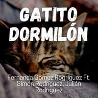 Gatito Dormilón