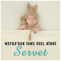 Servet İsmine Özel Ninni