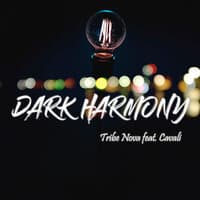 Dark Harmony