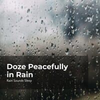 Doze Peacefully in Rain