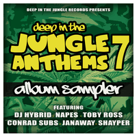 Deep In The Jungle Anthems 7 - LP Sampler