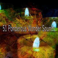 51 Ponderous Wonder Sounds