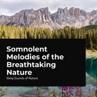 Somnolent Melodies of the Breathtaking Nature