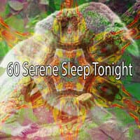 60 Serene Sleep Tonight