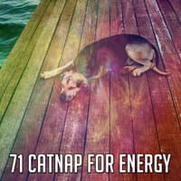 71 Catnap for Energy