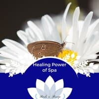 Healing Power Of Spa