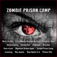 Zombie Prison Camp