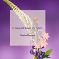 An Easiness Through Spa Therapy - Healing Melodies