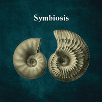 Symbiosis