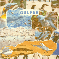 Gulfer