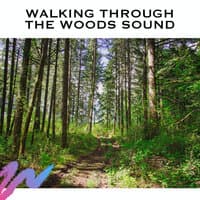 Walking Through The Woods Sound, Loop