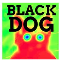 Black Dog