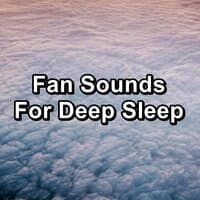 Fan Sounds For Deep Sleep