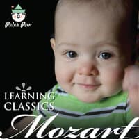 Minuet - Mozart