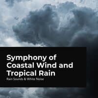 Symphony of Coastal Wind and Tropical Rain