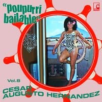 Poupurri Bailable Vol. 8