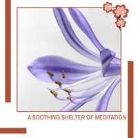 A Soothing Shelter Of Meditation