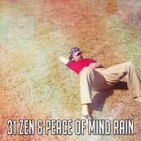 31 Zen & Peace of Mind Rain